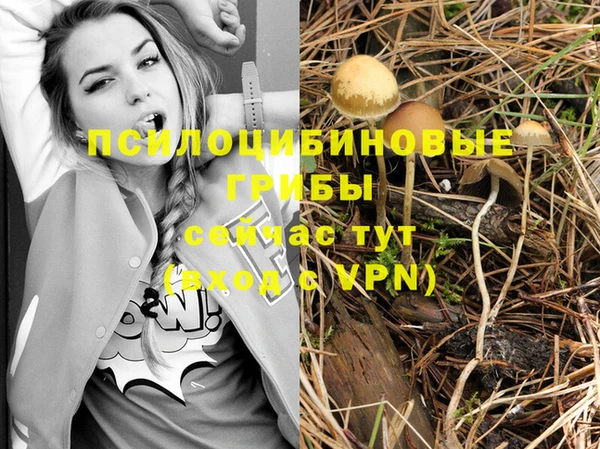 дмт Балахна