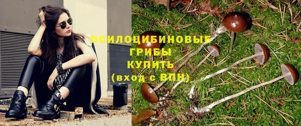 эйфоретик Армянск